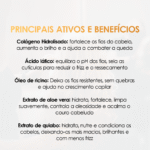 Uma lista em português intitulada Principais Ativos e Benefícios destaca os benefícios do colágeno hidrolisado, do ácido lático, do óleo de rícino, do extrato de aloe vera e do extrato de quiabo para os cuidados com os cabelos usando o Volume Control Blond: Loiro Blindado em um fundo branco.