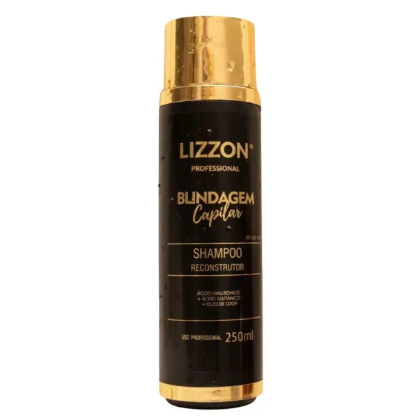 Shampoo Blindagem Capilar (homecare) 250ml