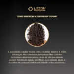 A imagem exibe o logotipo da Lizzon Professional acima do texto "Como identificar a porosidade capilar?", com uma foto de cabelo cacheado ao lado de dicas sobre o Kit Cronograma Blindado para cuidados de diferentes porosidades.