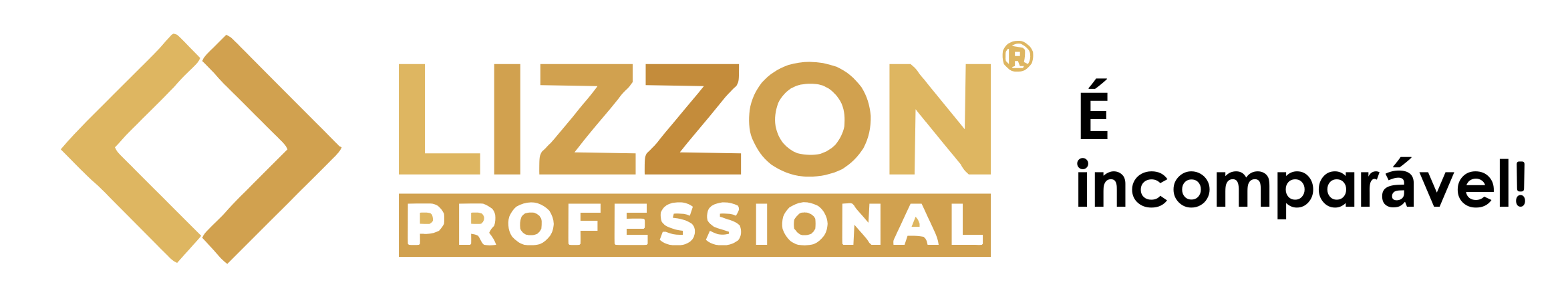 Logotipo com formato de diamante dourado e as palavras LIZZON PROFESSIONAL em dourado, destacado por 