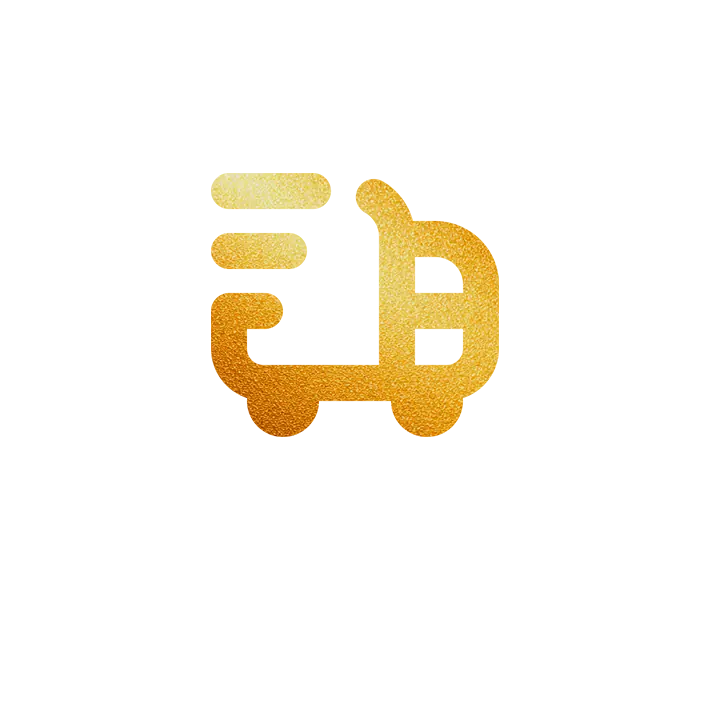 Um ícone de caminhão dourado com linhas de movimento está acima das palavras FRETE GRÁTIS em letras maiúsculas brancas, representando o serviço expresso da Lizzon, tudo sobre um fundo cinza claro.