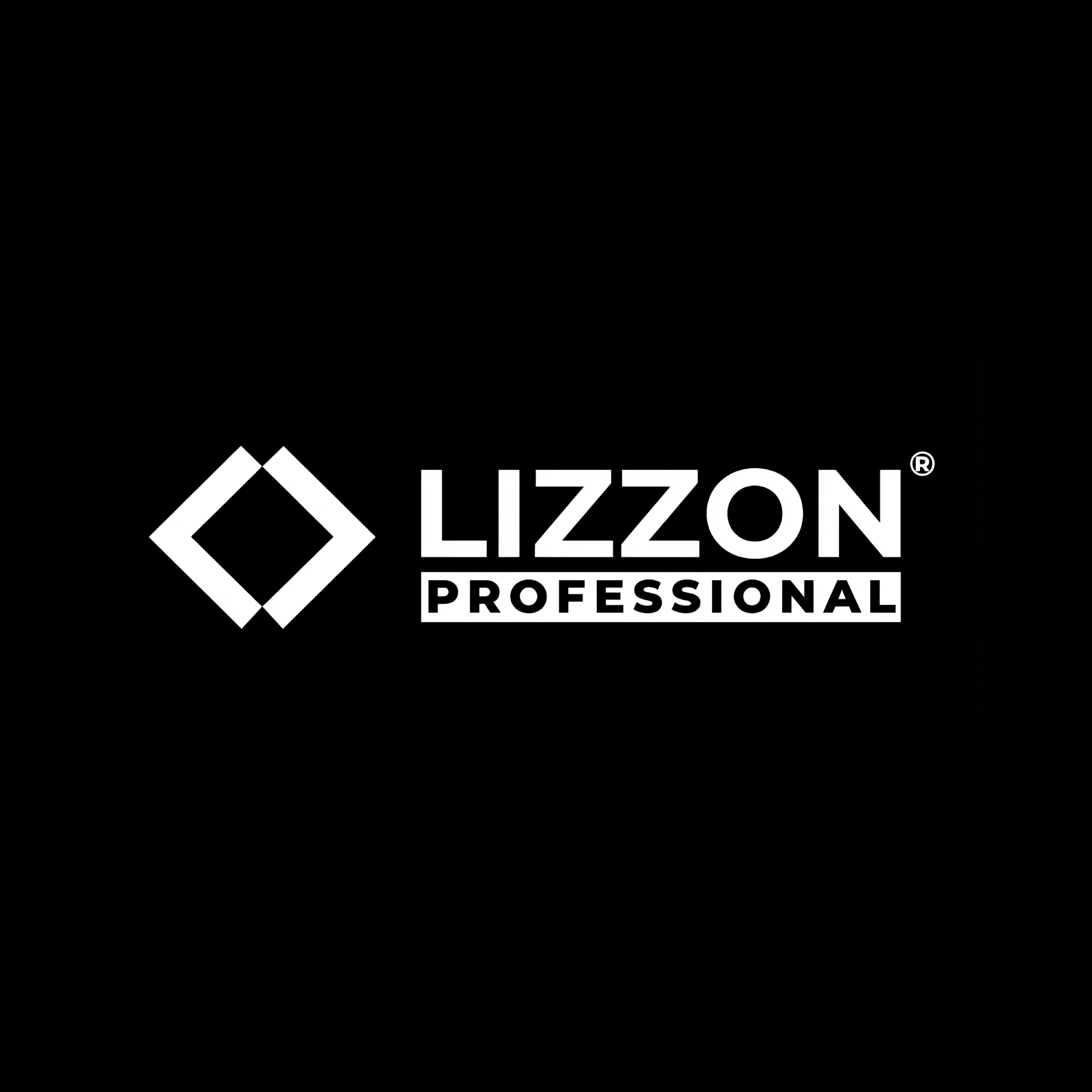 folder categorias LIZZON
