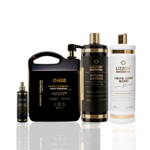 Cinco frascos de produtos para cabelos da marca Lizzon Professional estão expostos sobre um fundo branco. Eles variam em tamanho e formato, com rótulos nas cores preta, dourada e branca, incluindo xampus e fórmulas para controle de volume.
